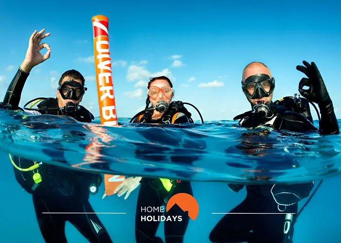 #267 Cozy Casablanca *